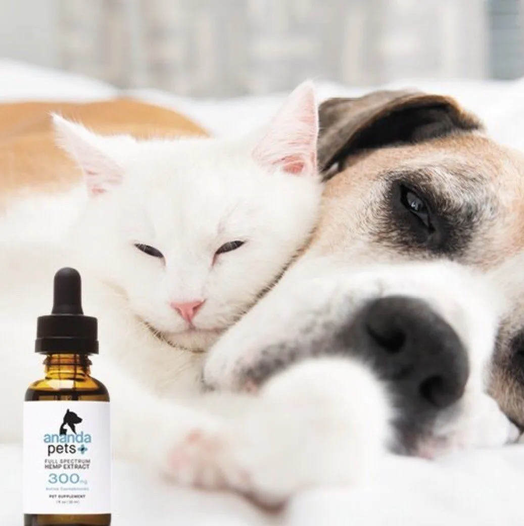 Ananda Pets hemp extract bottle with a white cat and a dog resting together
