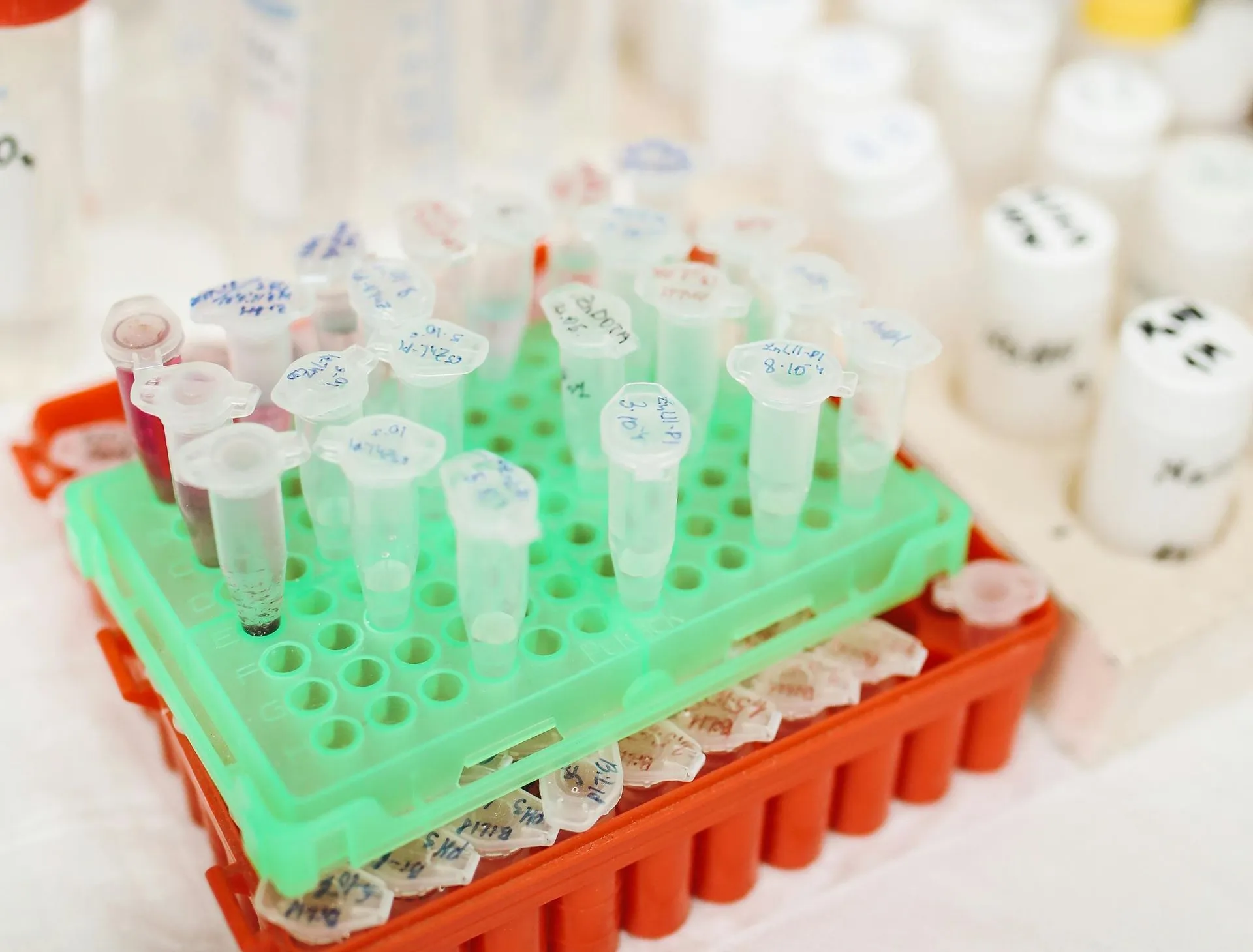Test tubes in a green rack, inside a red tray, with other vials in the background.